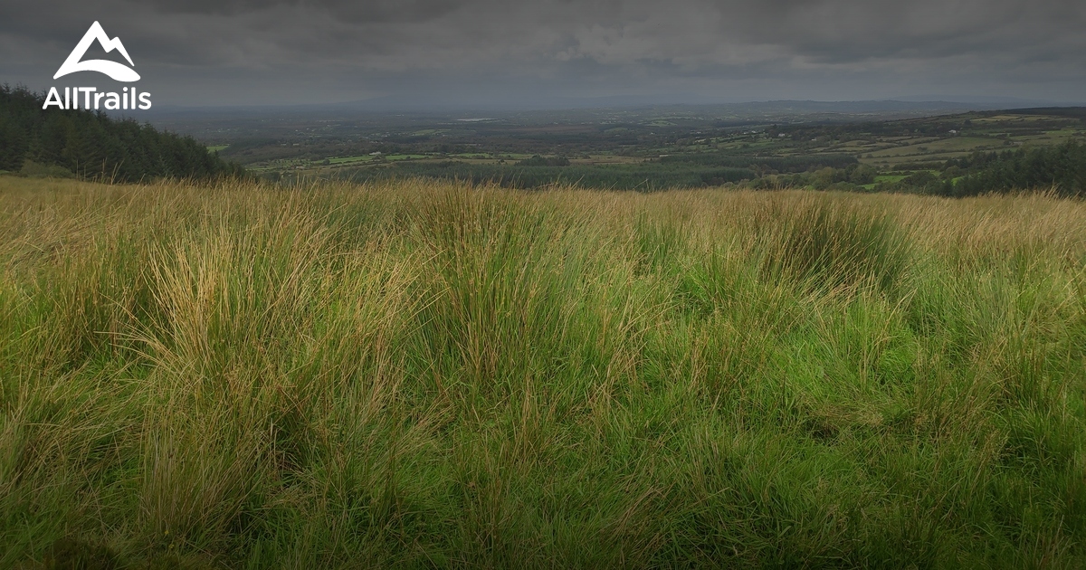 2023 Best City Walk Trails in Drumlish AllTrails