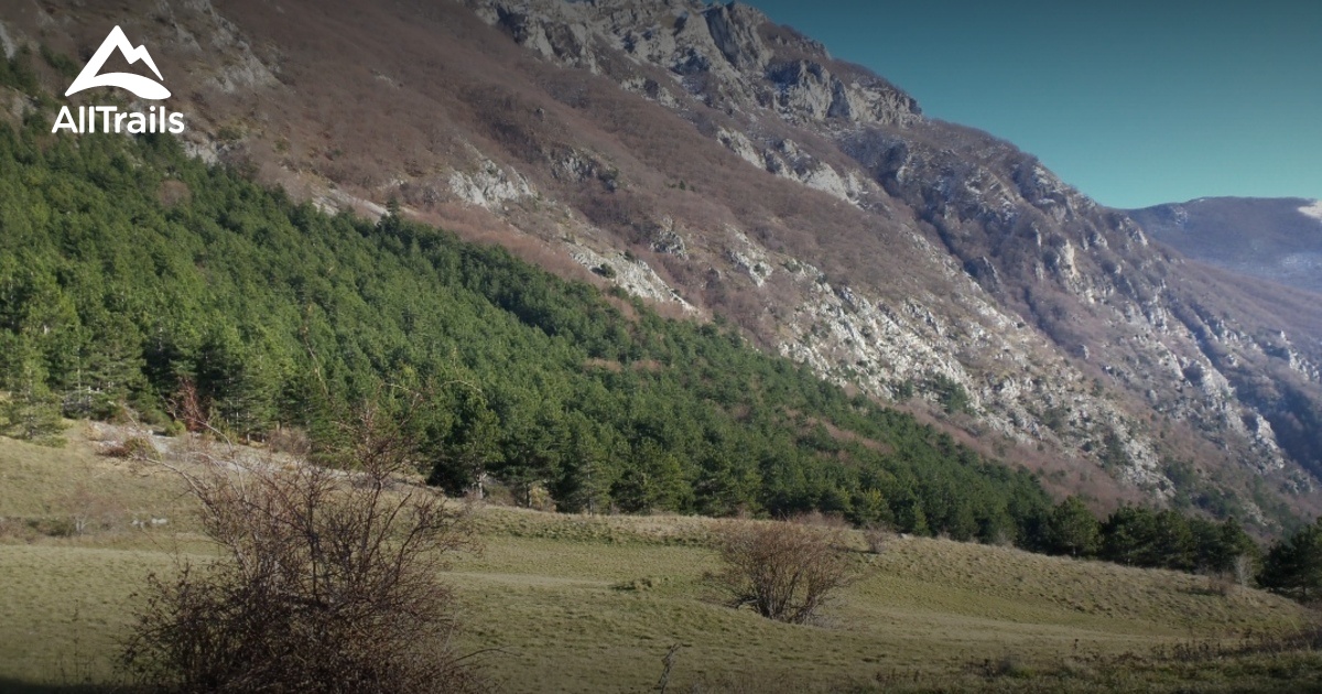 WHAT DOES SALLE MEAN visual data 8