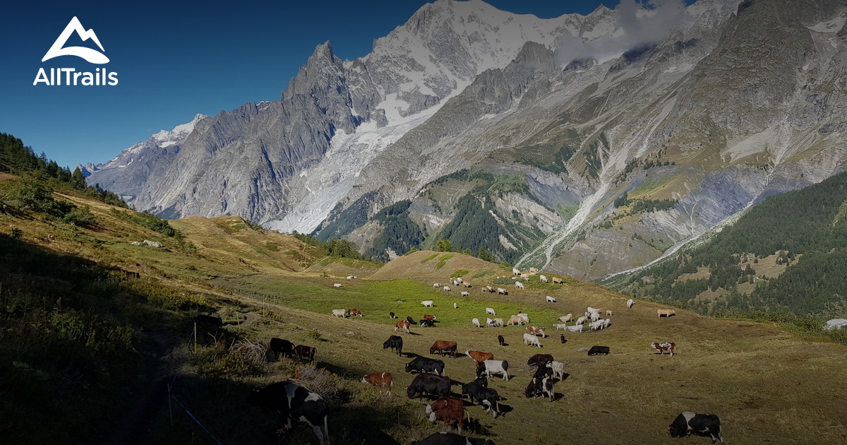 courmayeur valley bootie