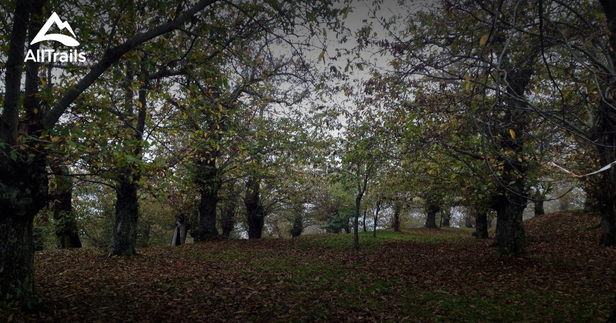 2023 Best Historic Site Trails in Roccamonfina AllTrails