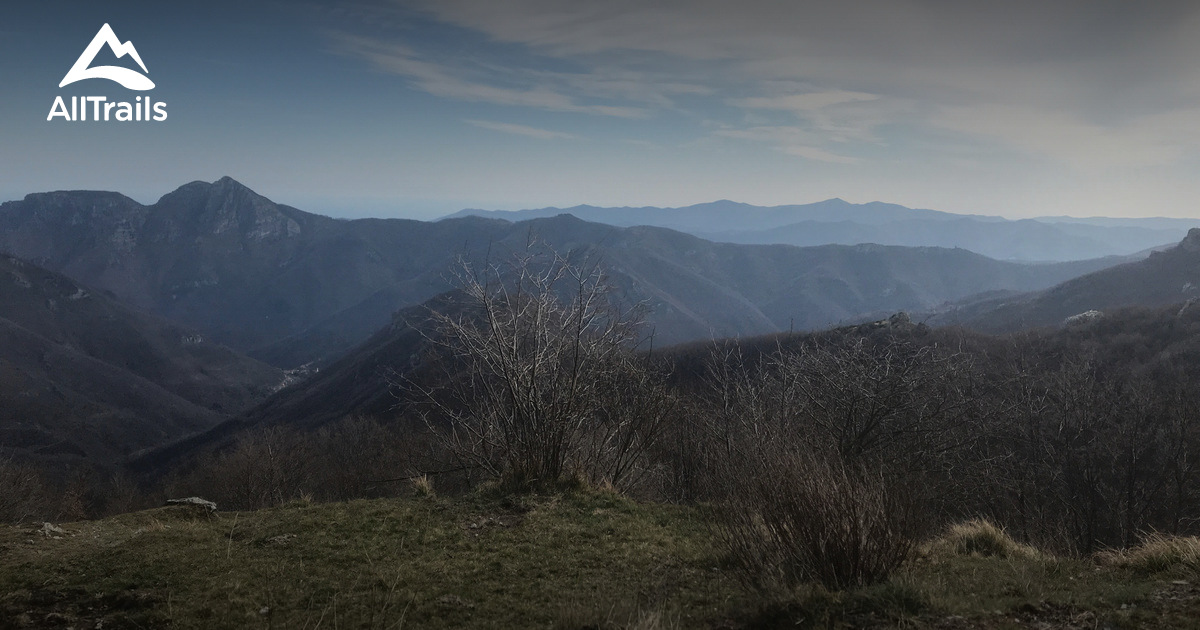 Best Dog Friendly Trails in Nasino AllTrails