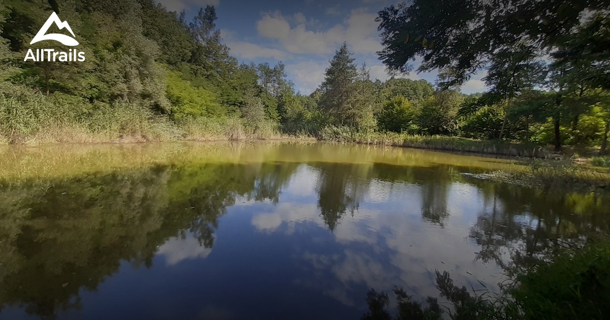 Best hikes and trails in Sommariva Perno AllTrails