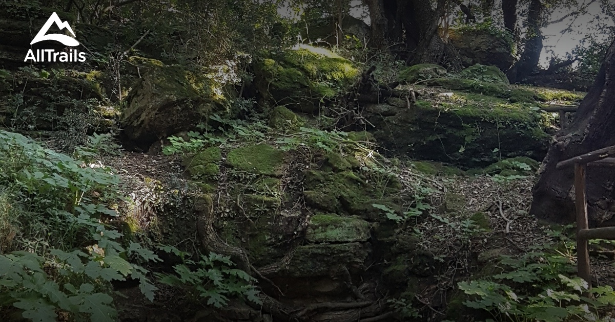 Best Hikes and Trails in Mazzarrone AllTrails