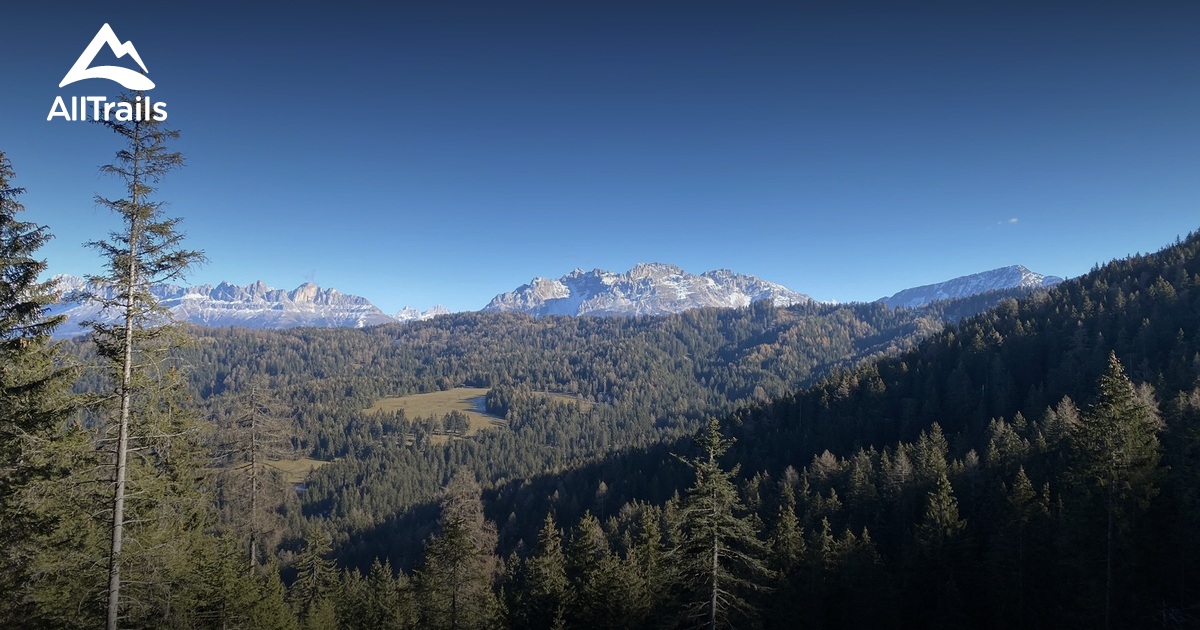 Best Dog Friendly Trails in Monte San Pietro AllTrails