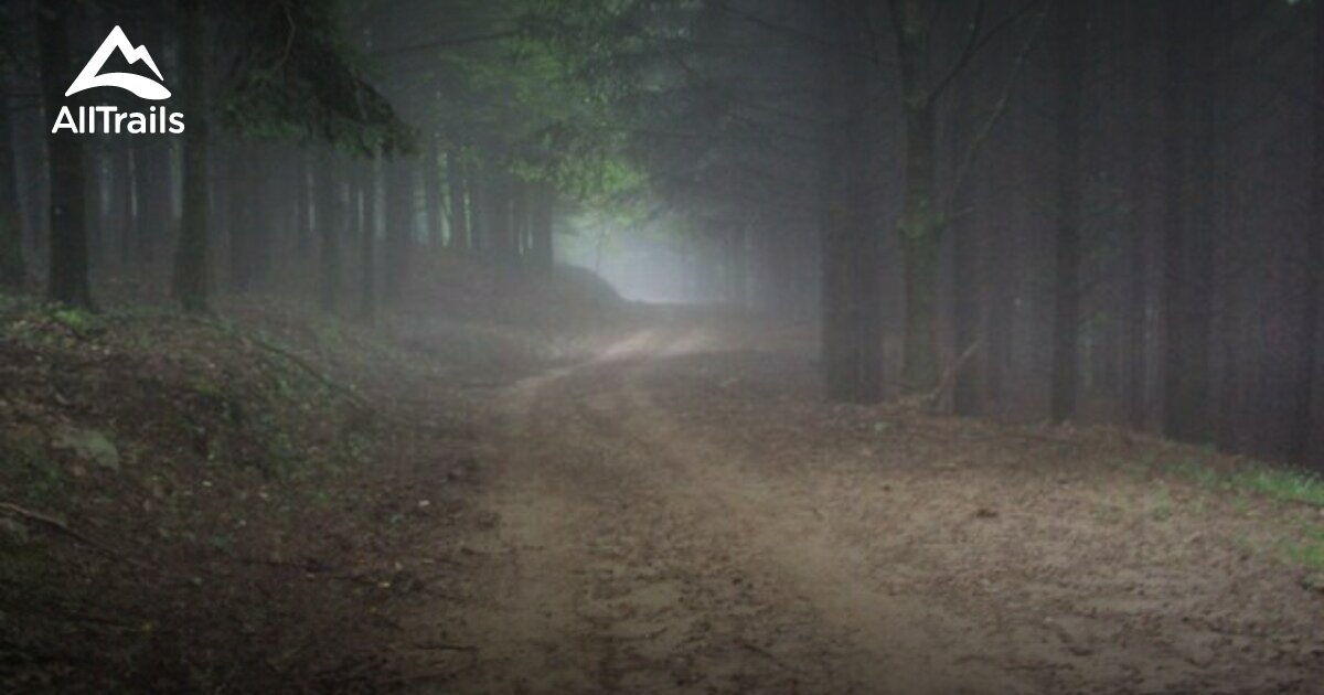 10 Best trails and hikes in Pratovecchio Stia AllTrails