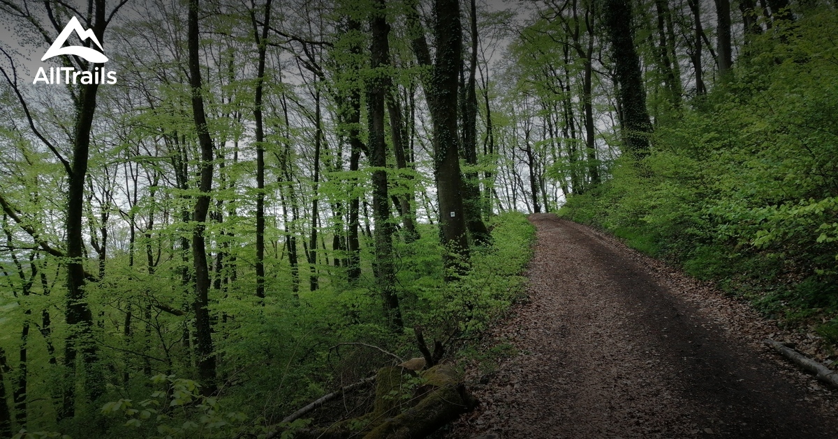 Best Hikes and Trails in Gilsdorf AllTrails