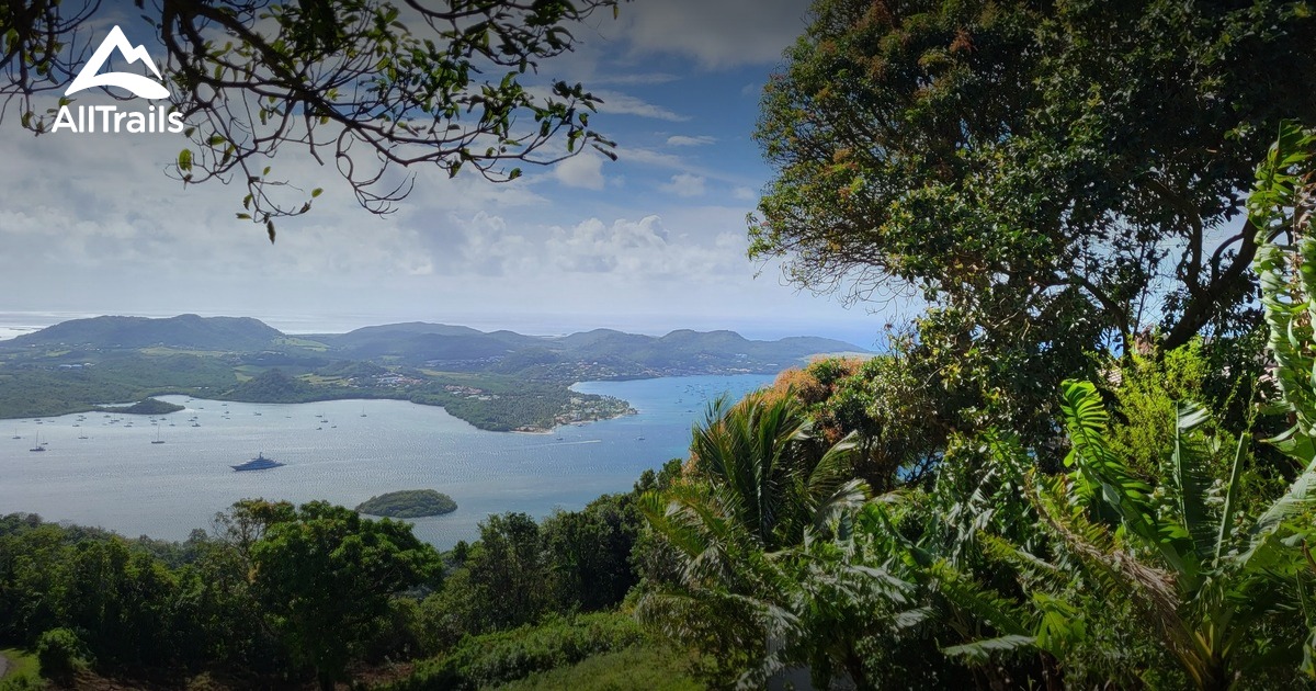 Best Hikes and Trails in Le Marin AllTrails