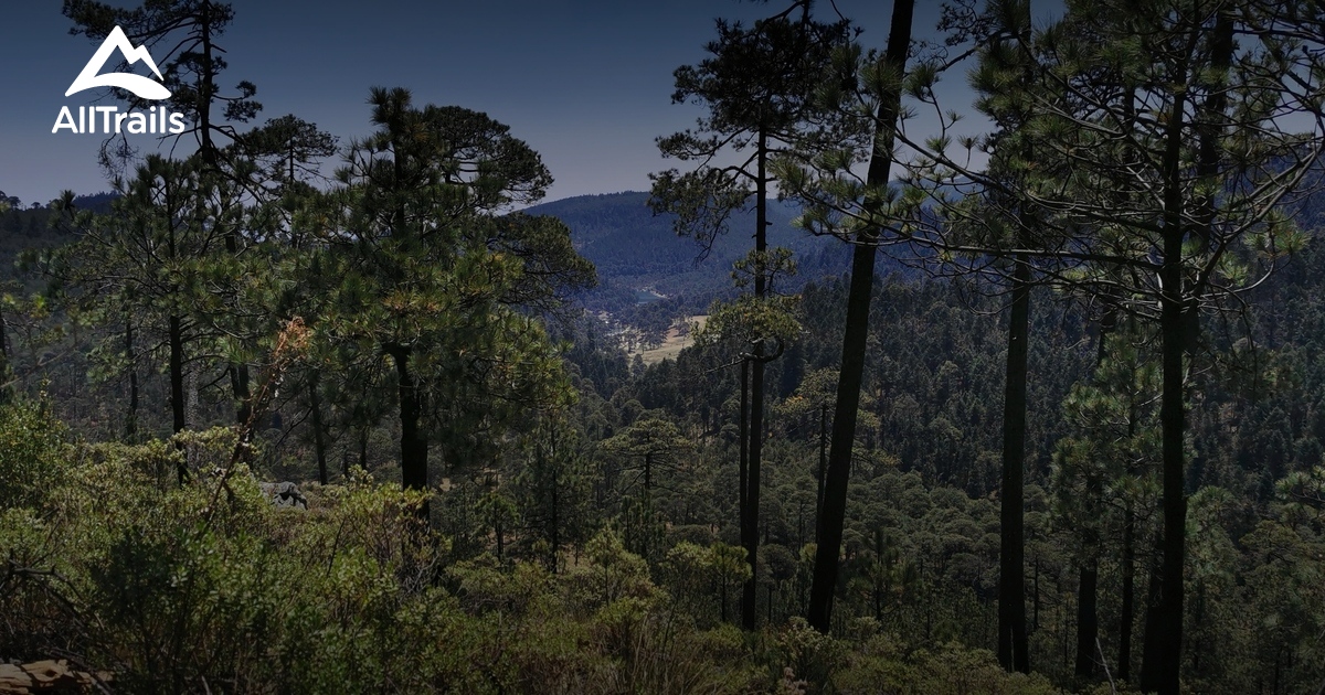 Best hikes and trails in Temoaya AllTrails