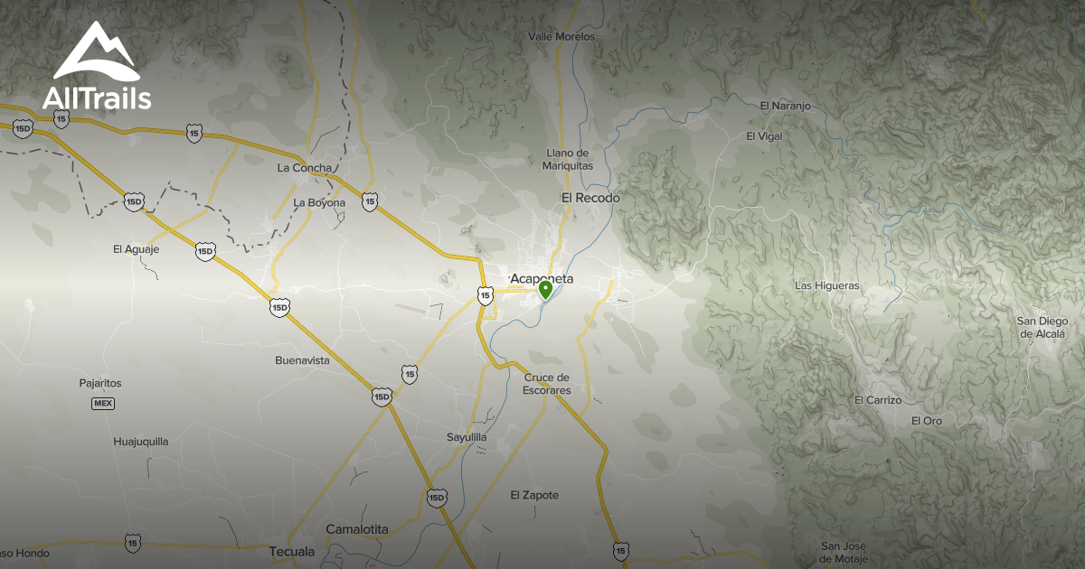 Best Forest Trails in AllTrails