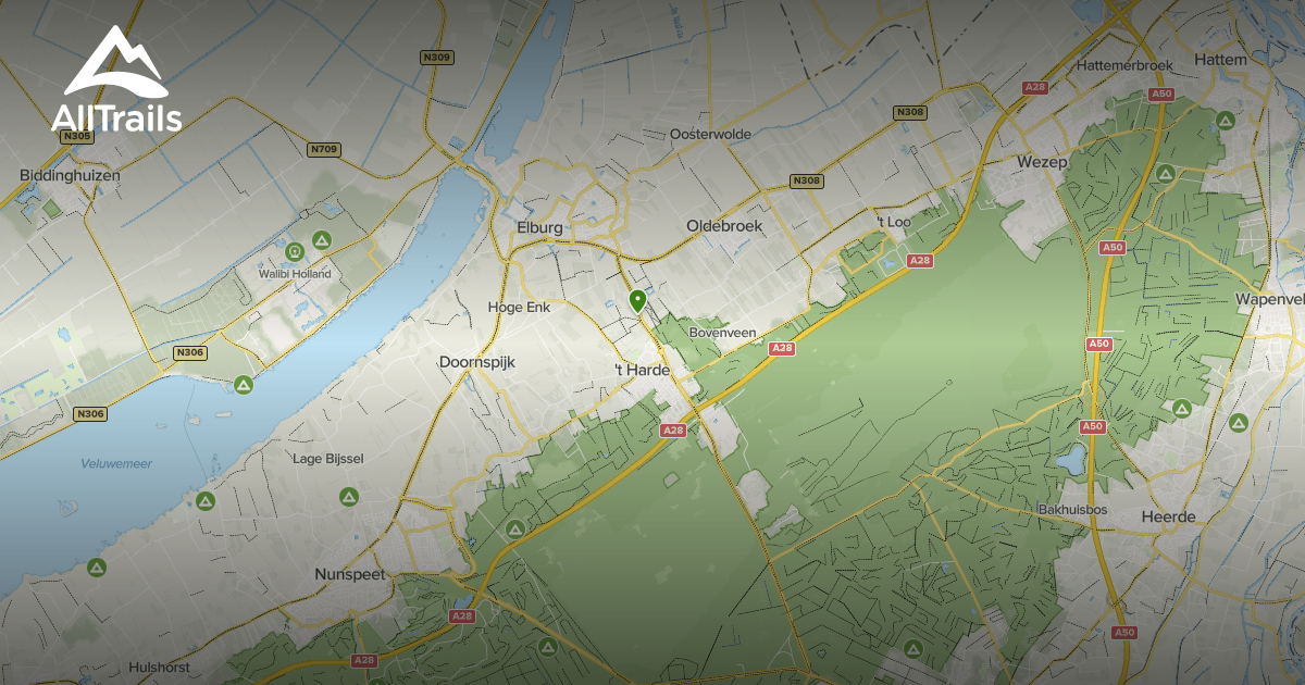 Best Hikes and Trails in 't Harde AllTrails