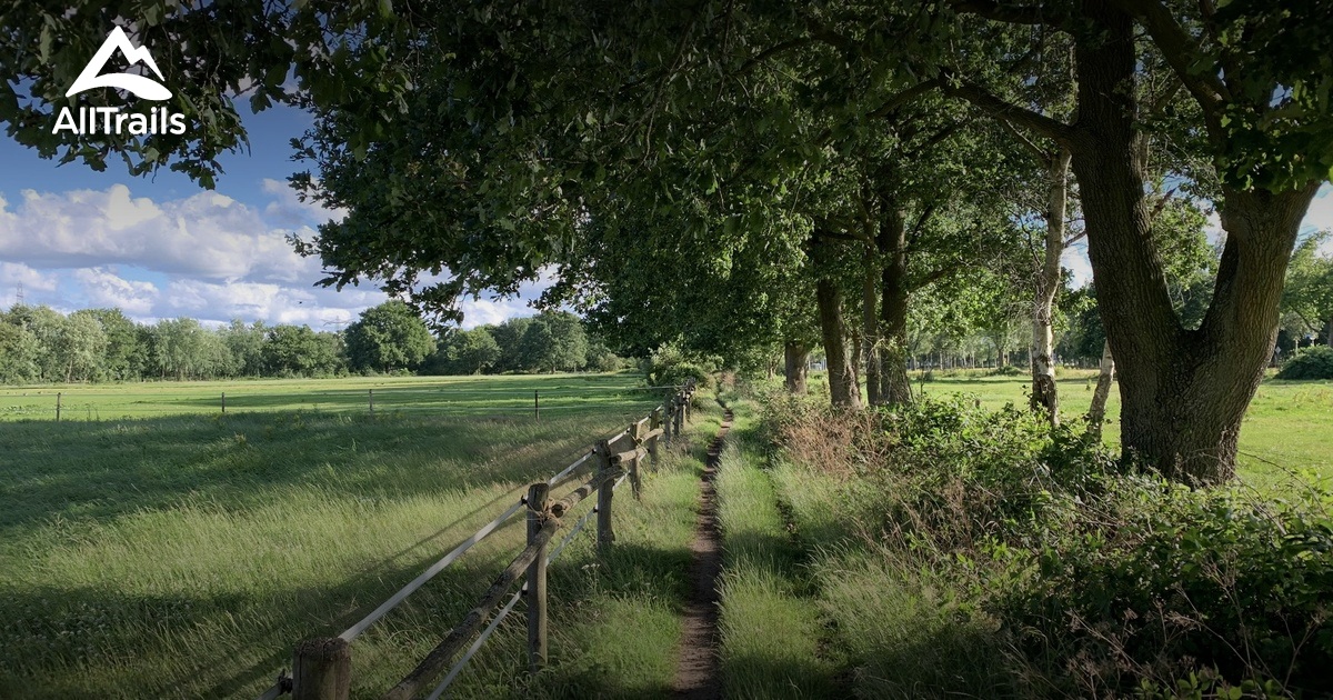 De 10 beste wandelroutes om te wandelen in Eindhoven | AllTrails