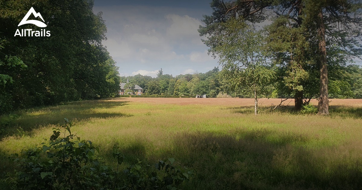 2023 Best Camping Trails in Austerlitz AllTrails