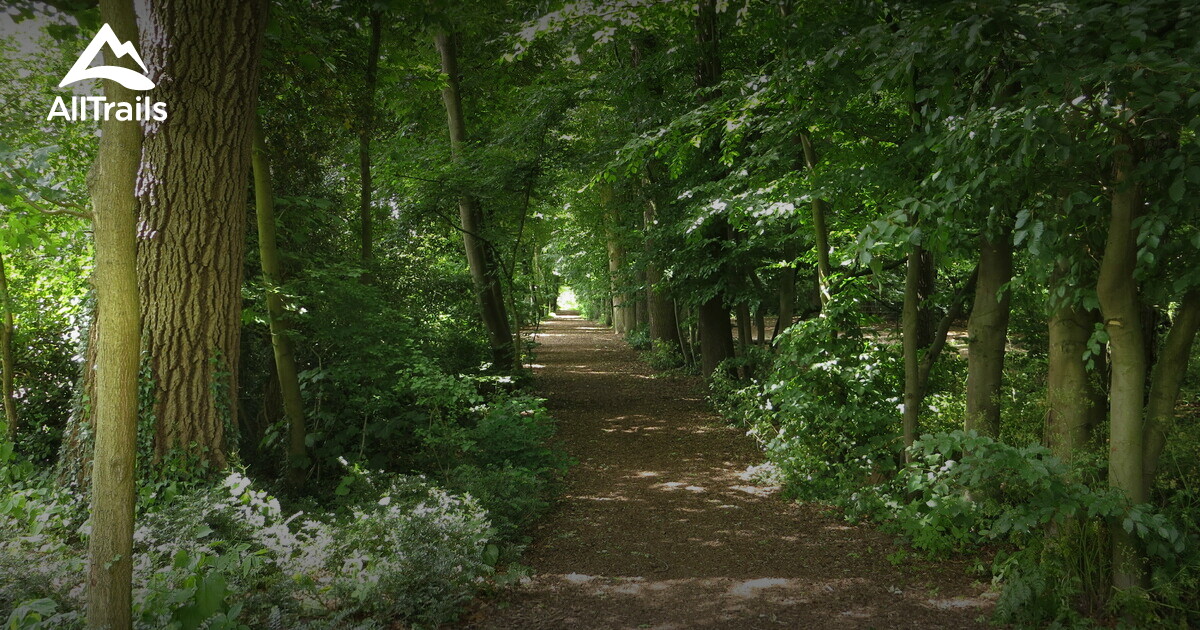 2023 Best Wild Flowers Trails In Bilthoven Alltrails 3589