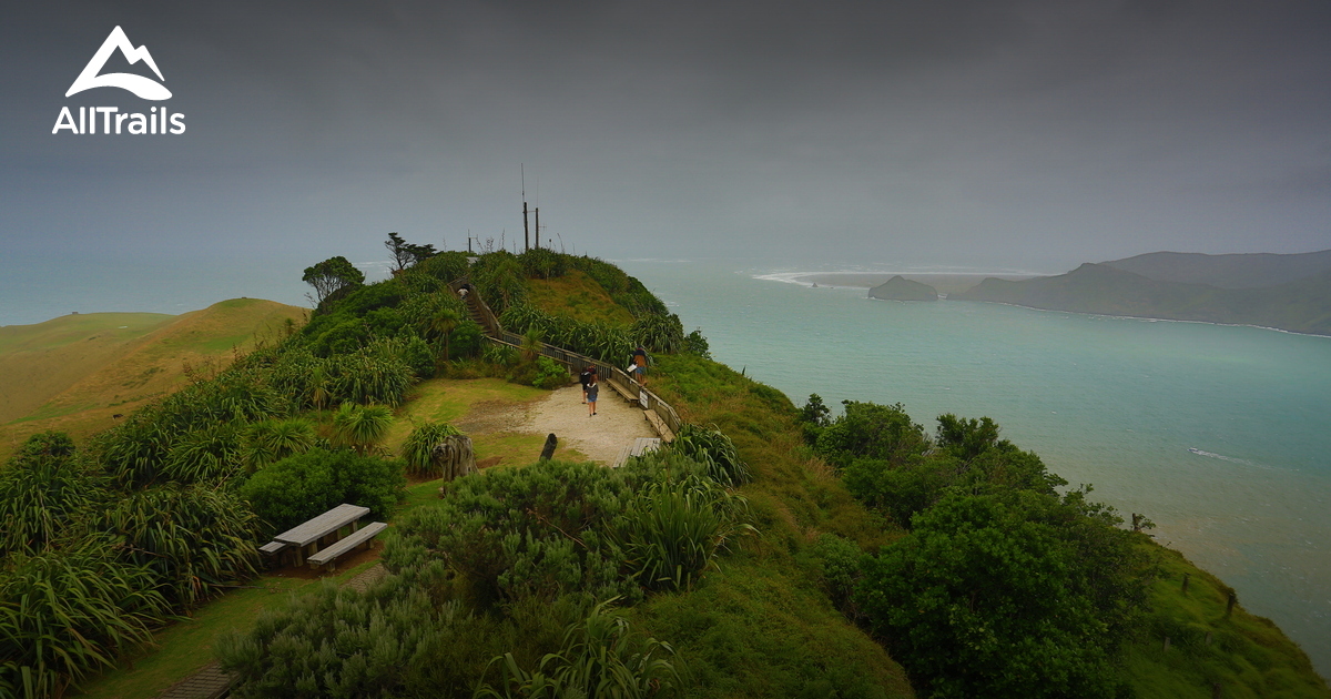 waiuku forest mountain biking