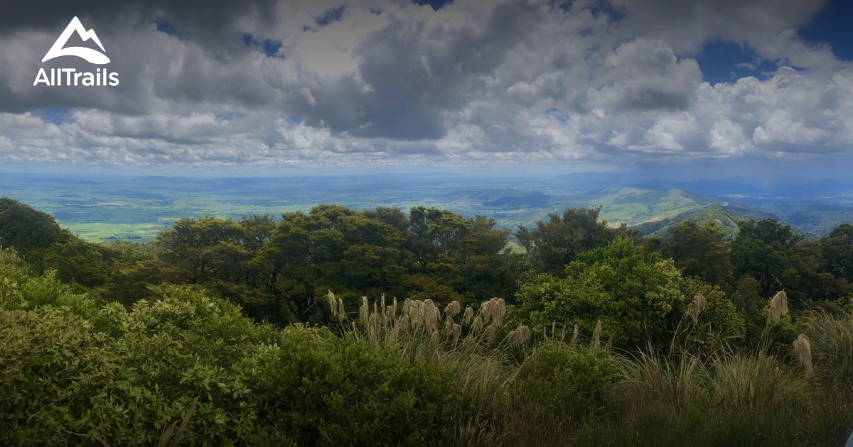 Best Trails near Katikati, Bay of Plenty New Zealand AllTrails