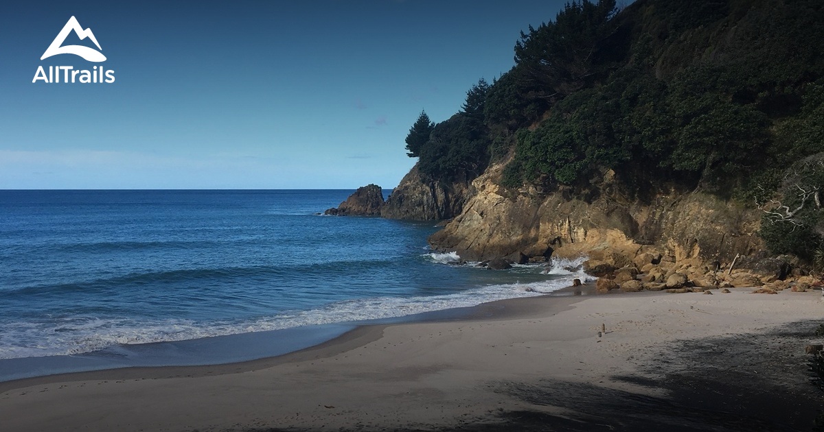 10 Best Trails and Hikes in Waihi Beach AllTrails