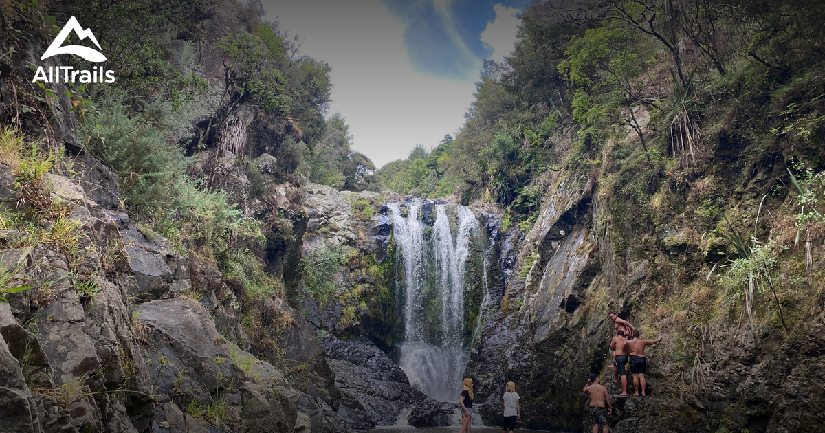 Best Walking Trails in Maungaturoto AllTrails