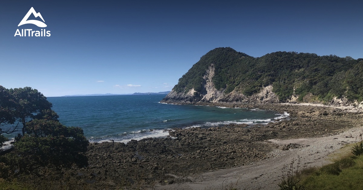 Best Hikes and Trails in One Tree Point AllTrails