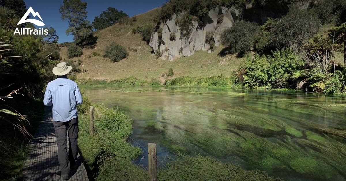 Best Hikes and Trails in Putaruru AllTrails
