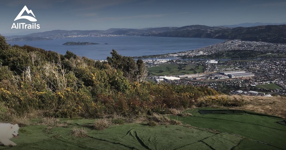 10 Best Walking Trails in Wainuiomata AllTrails