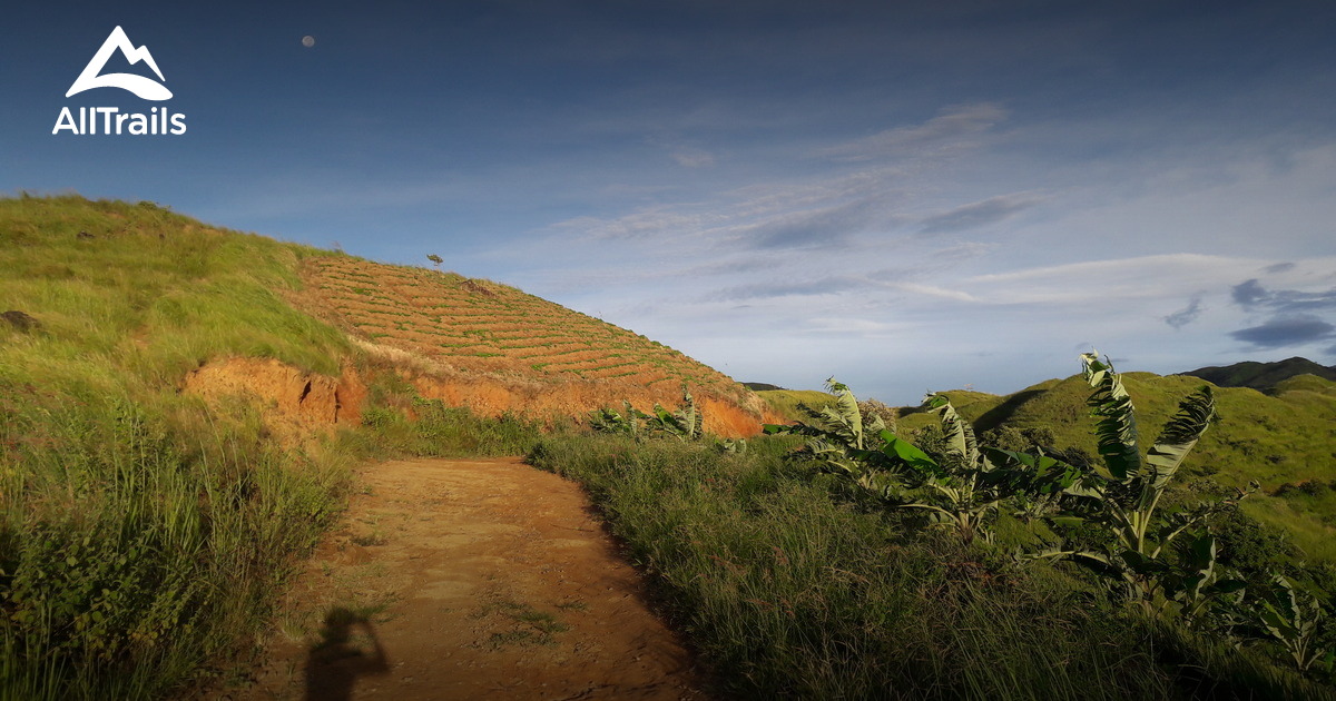 2023 Best Wild Flowers Trails in San Jose AllTrails