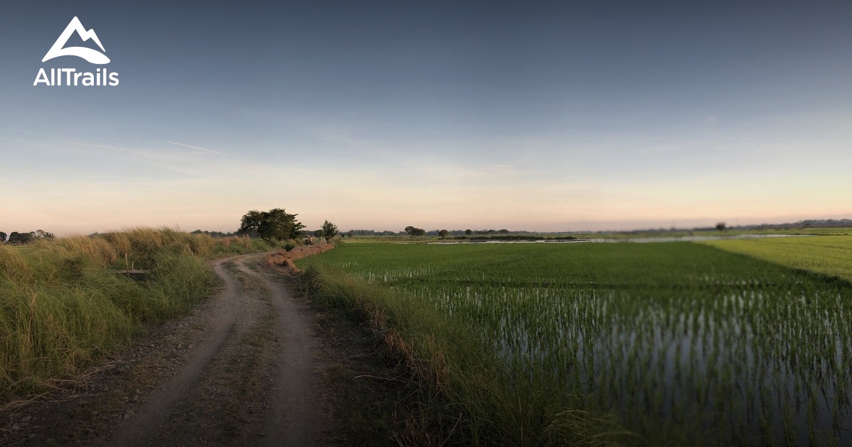 Best hikes and trails in Calasiao AllTrails