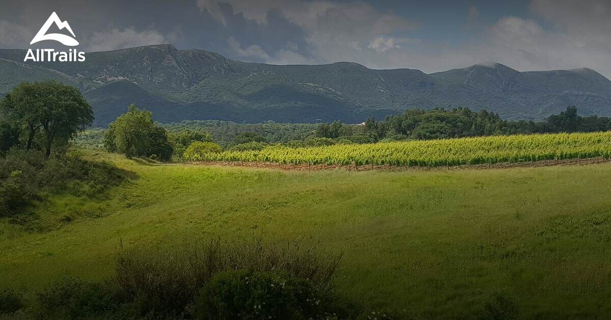 2023 Best Forest Trails in Quinta do Anjo AllTrails