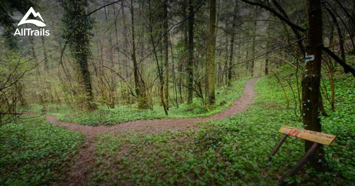 Best hikes and trails in Sasca Montană AllTrails