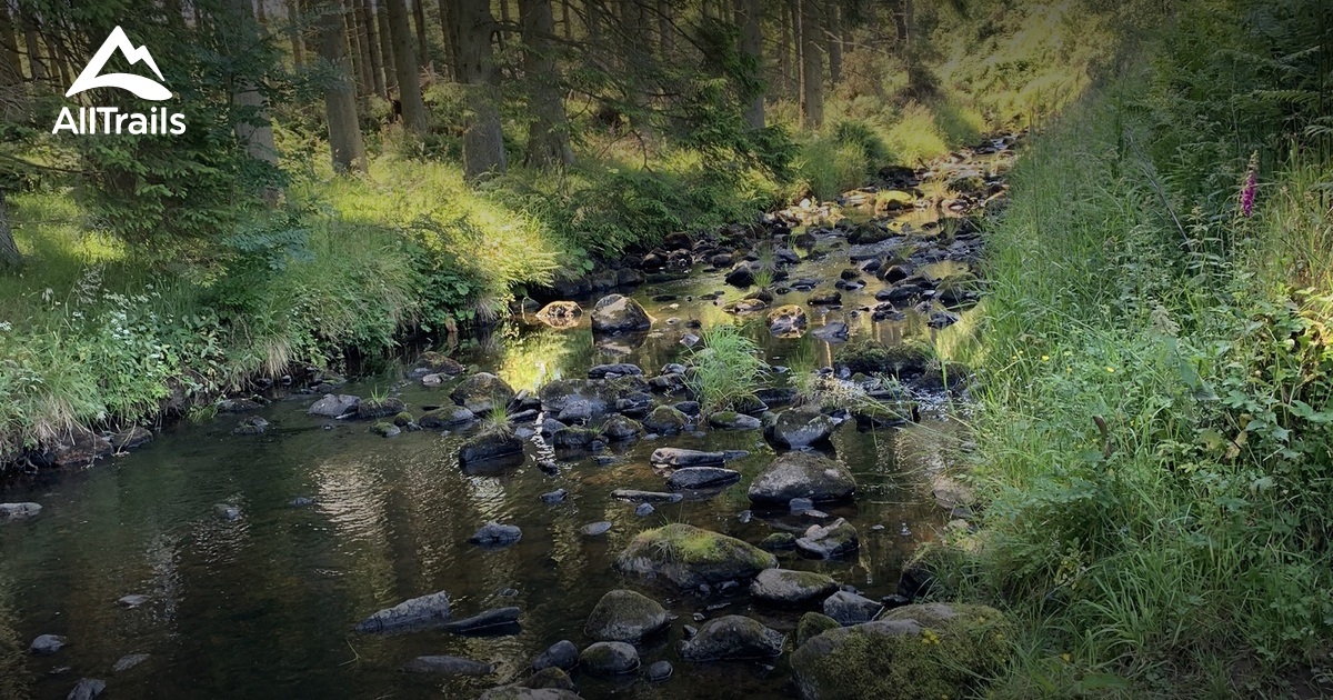 Best Hikes and Trails in Milltimber AllTrails