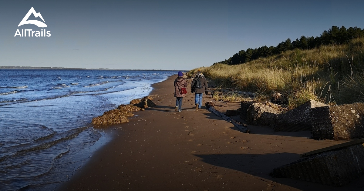 10 Best Walking Trails in NewportonTay AllTrails