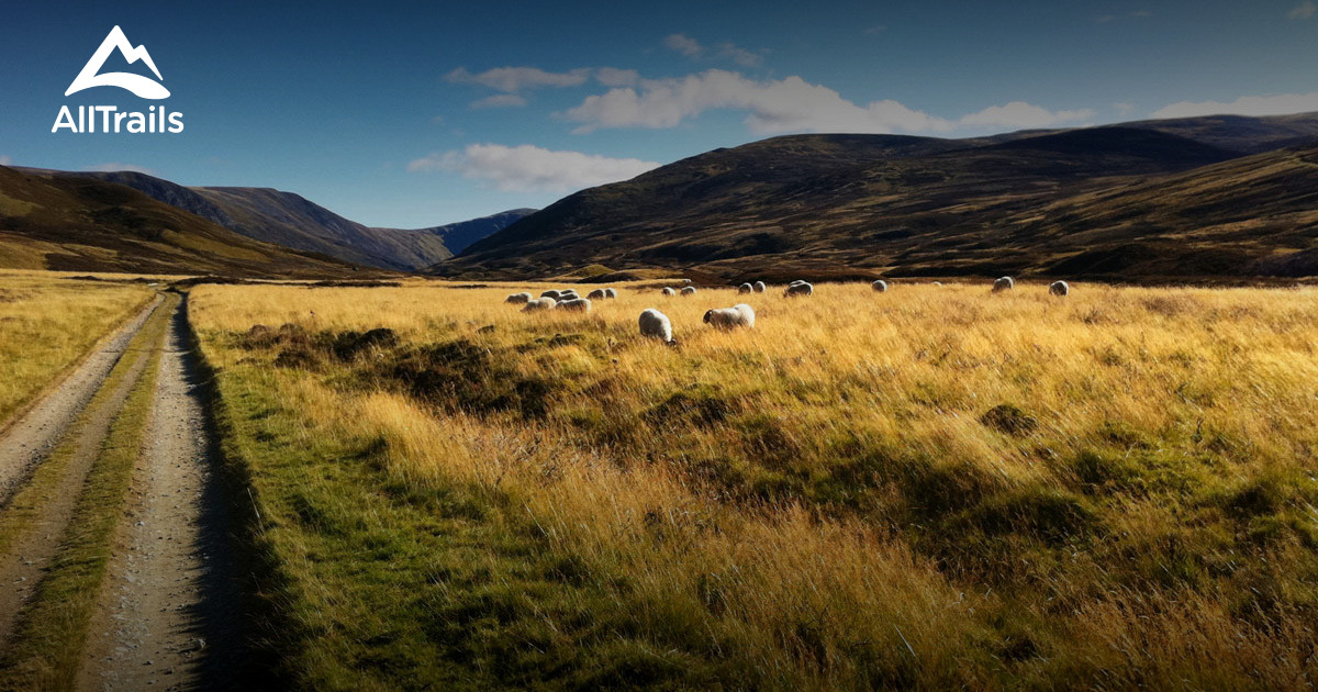 10 Best Trails, Walks, and Paths in Spittal of Glenshee AllTrails