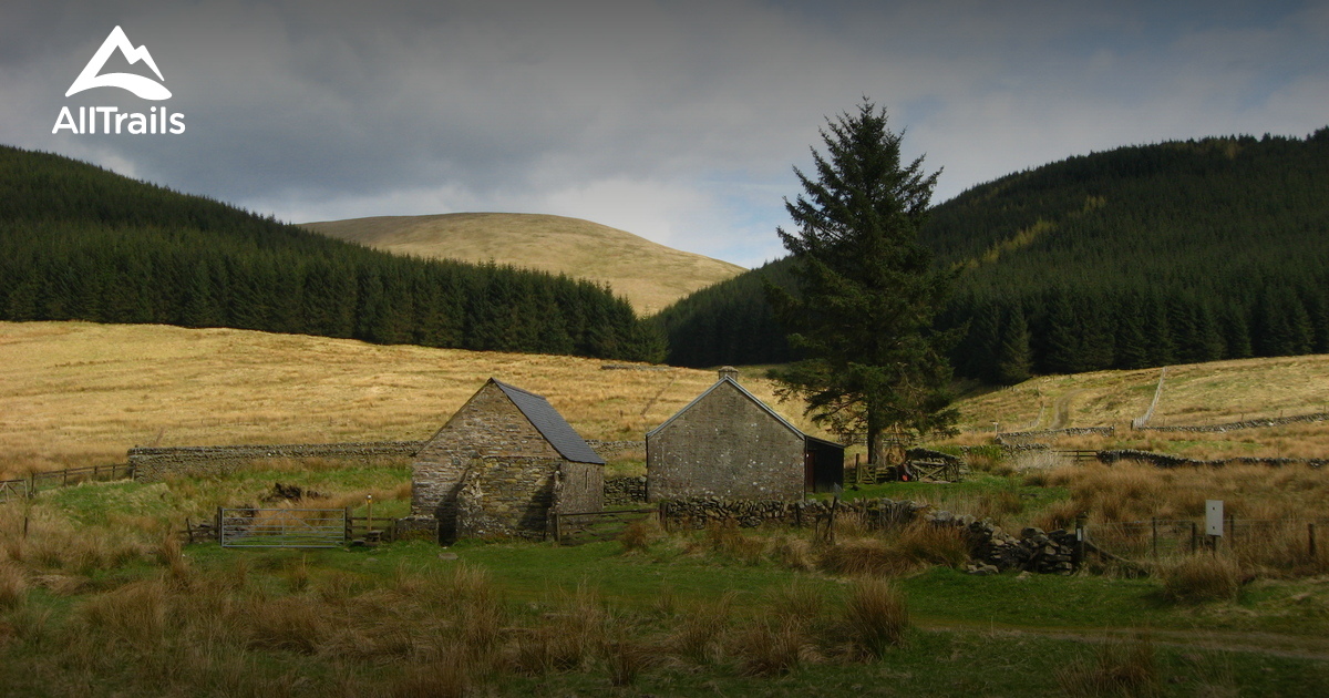 10 Best Trails and Hikes in Selkirk AllTrails