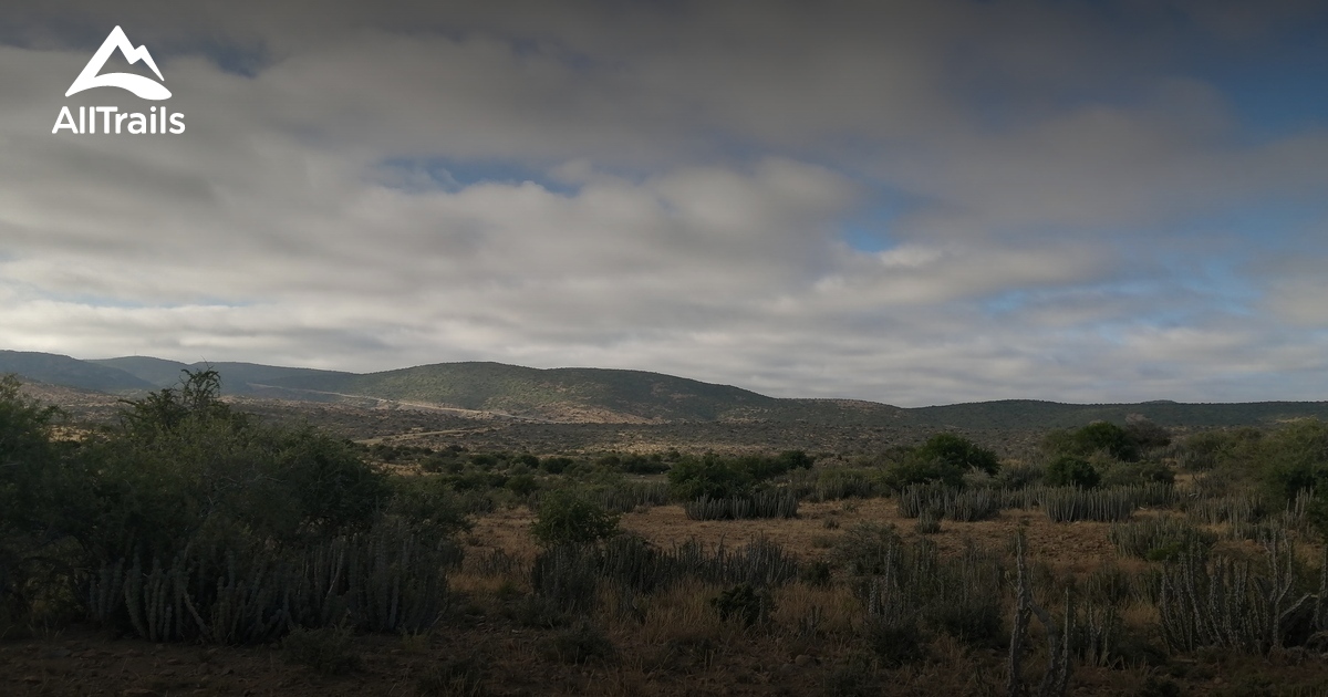 Best hikes and trails in Jansenville AllTrails