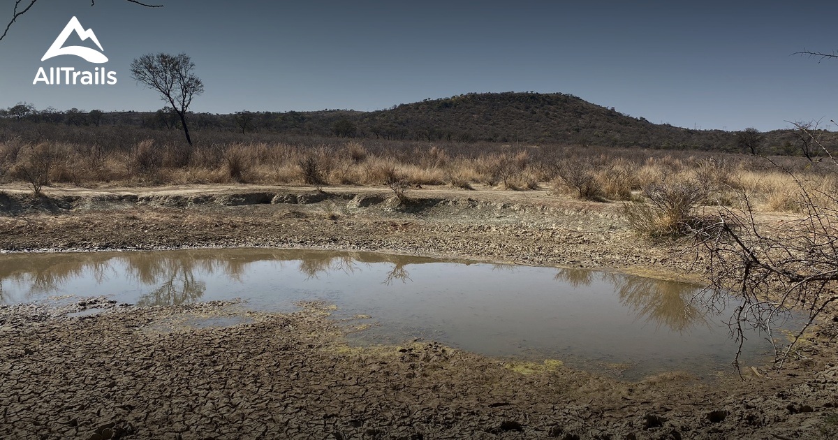 Best hikes and trails in Cullinan | AllTrails