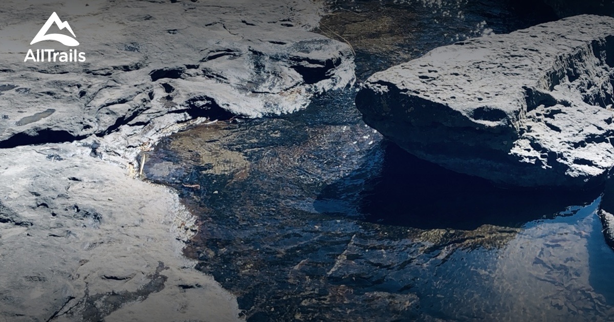 Best Wild Flowers Trails in Newcastle AllTrails