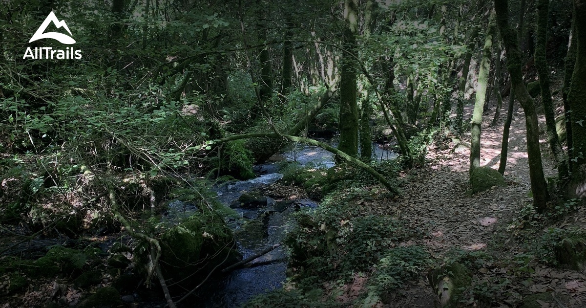 Best hikes and trails in Ribadumia AllTrails