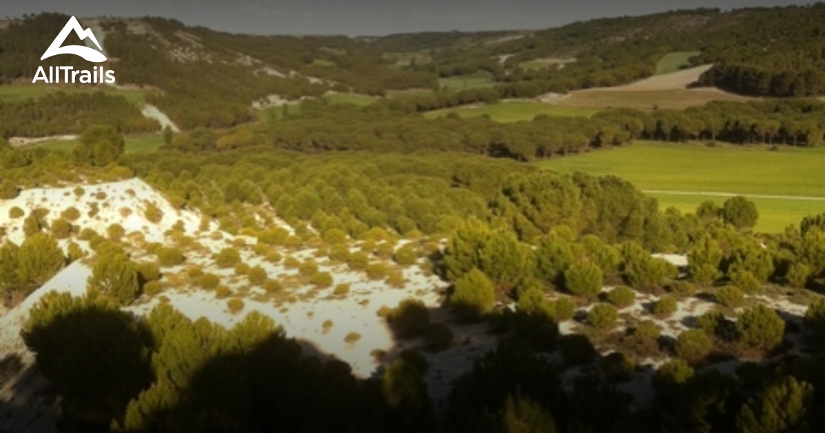 2023 Best trails in Santibáñez de Valcorba AllTrails