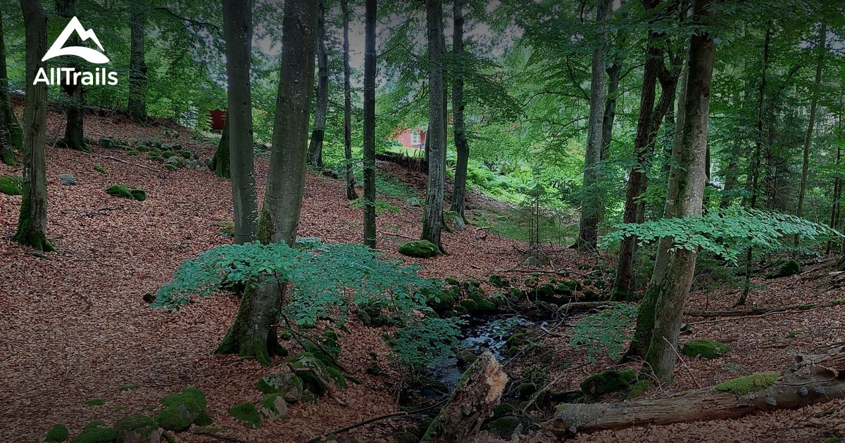 De beste routes in Östra Karup voor 2023 AllTrails