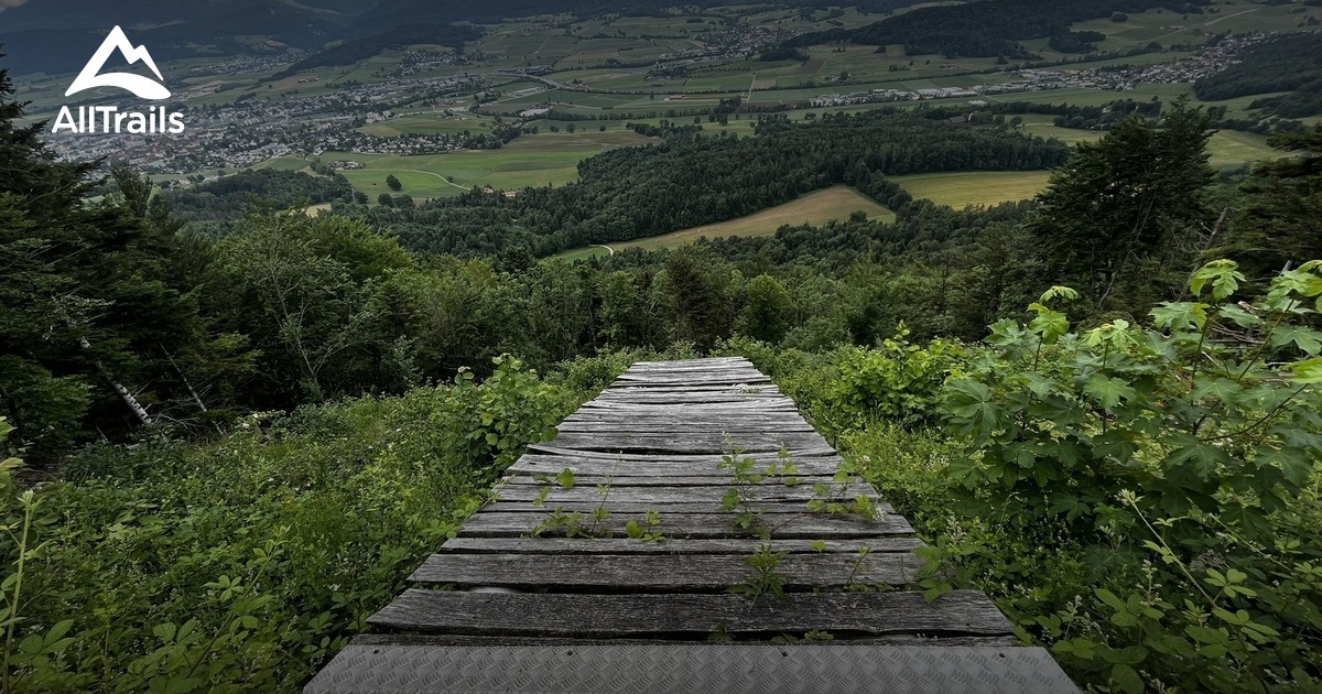 2023 Best 10 Trails and Hikes in Develier AllTrails
