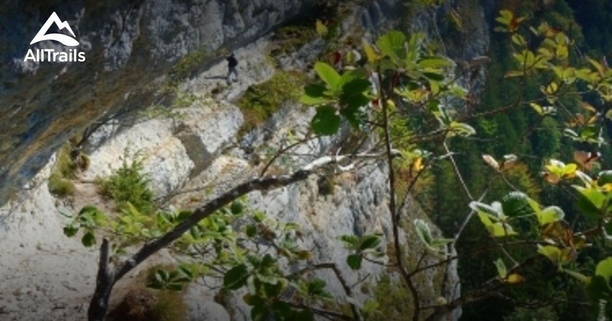 2023 Best trails in BrotPlamboz AllTrails