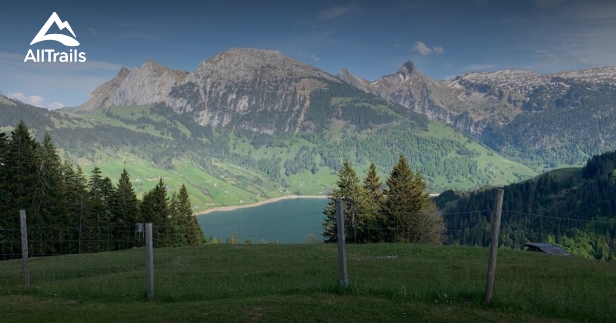 Best Bike Touring Trails in Feusisberg AllTrails