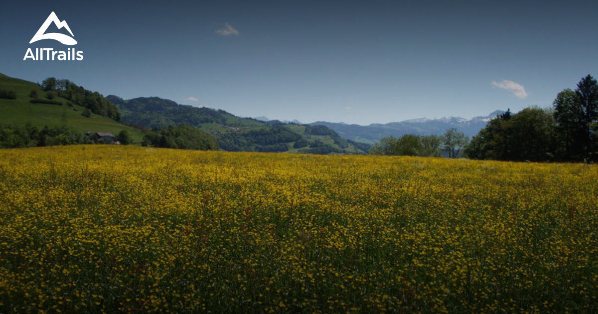 10 Best river trails in Rüti | AllTrails