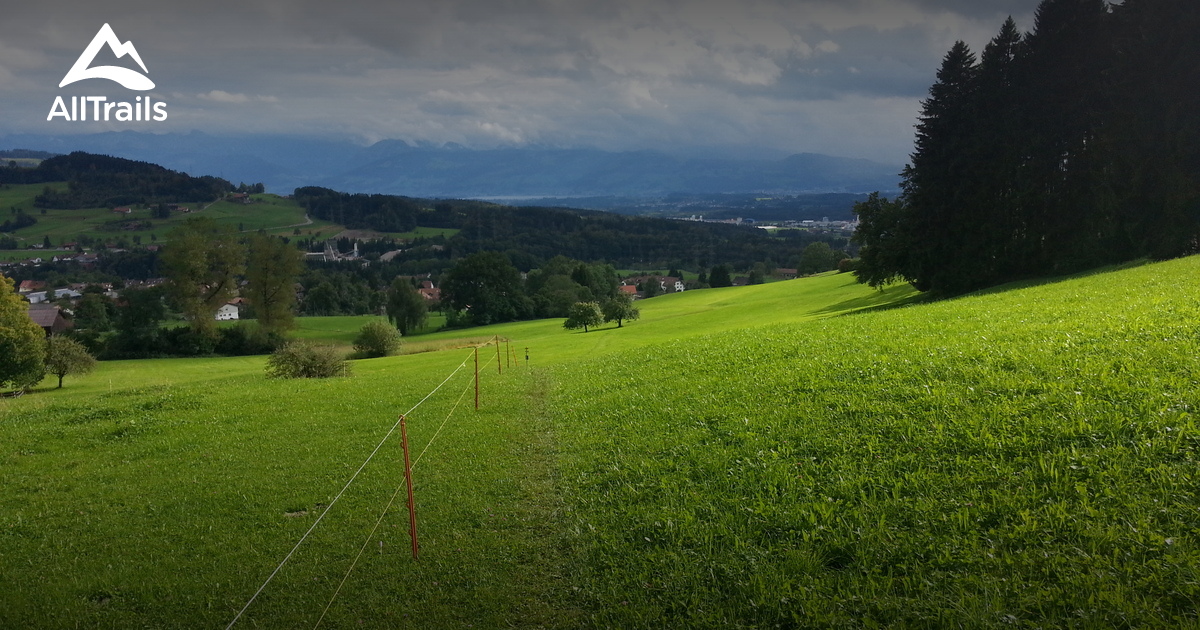 2023 Best Dog Friendly Trails in Seuzach AllTrails