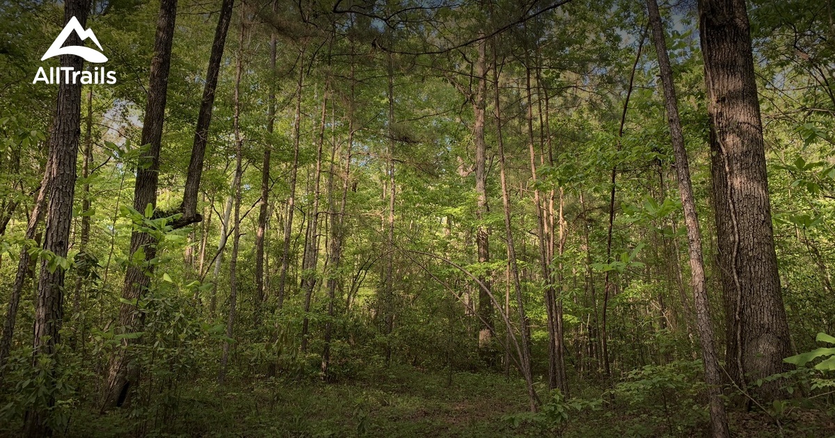 Best Hikes and Trails in Brent AllTrails