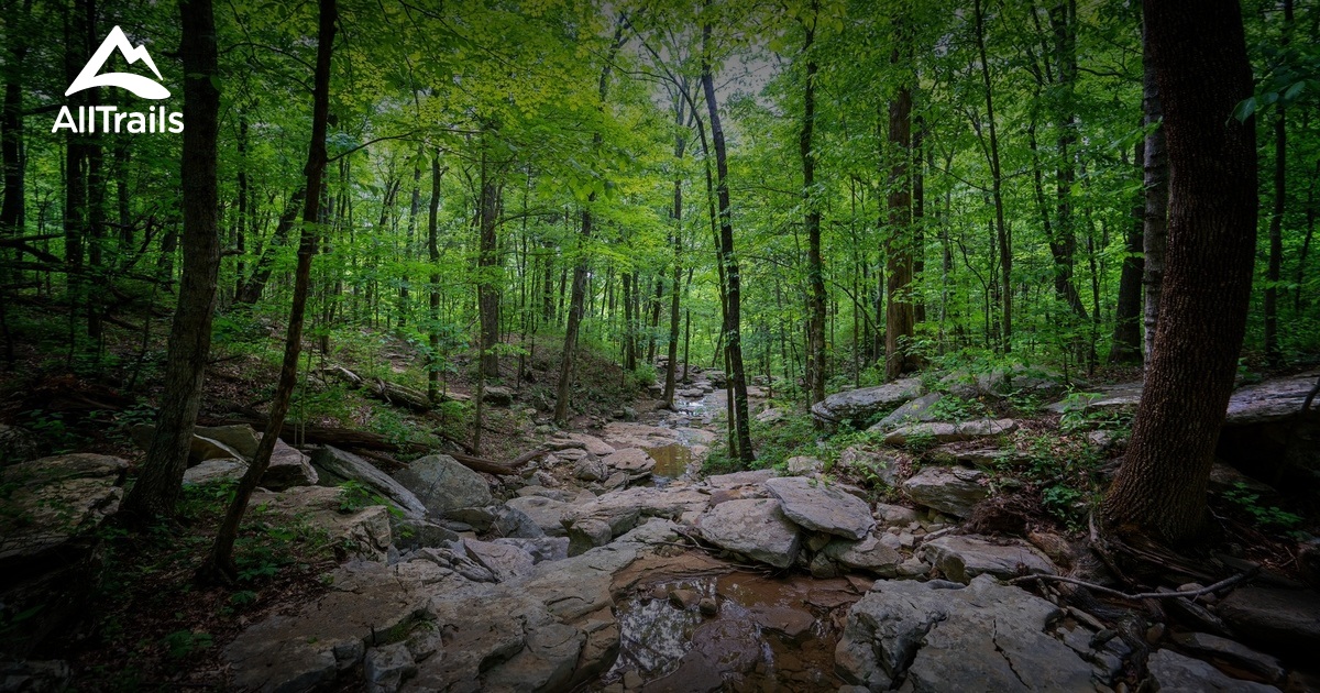 Best Trails near Huntsville, Alabama | AllTrails