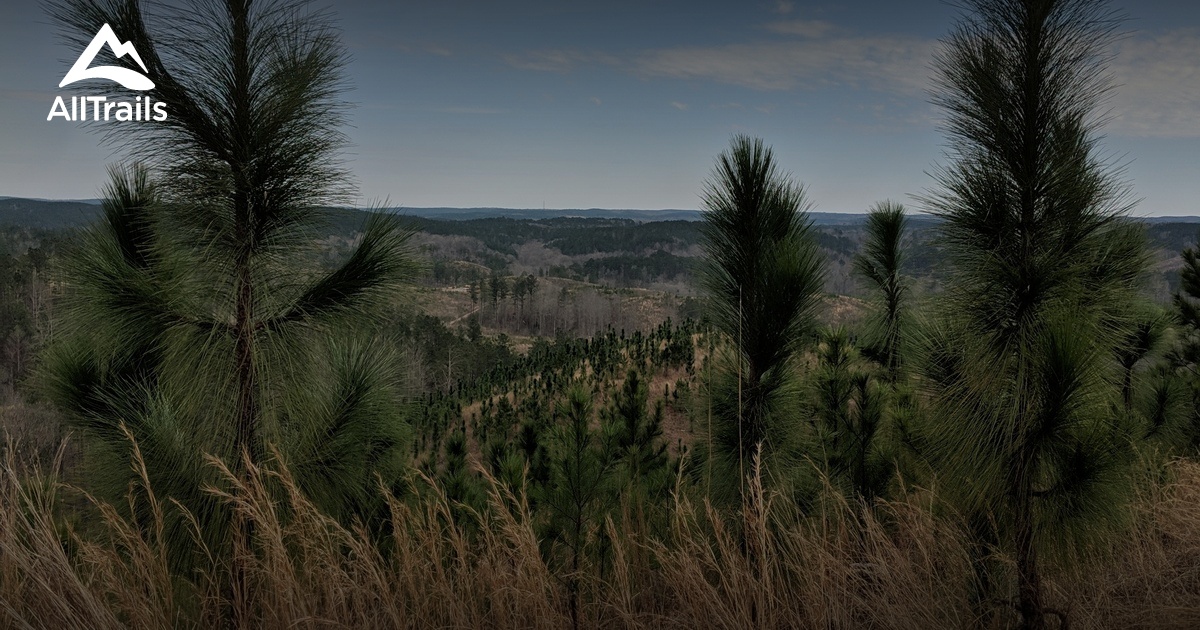 Best Hikes and Trails in Rockford AllTrails