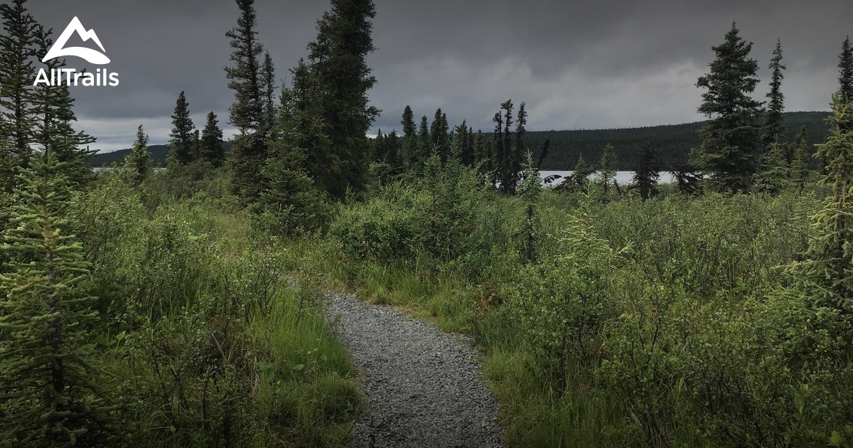 10 Best Trails and Hikes in Gakona AllTrails