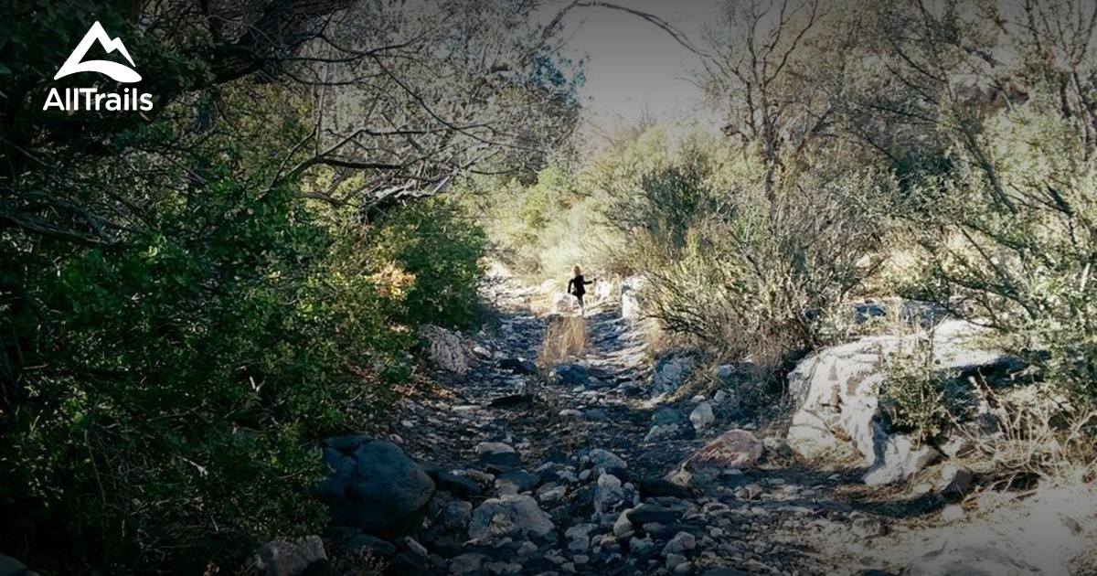 Best Trails near Chino Valley, Arizona AllTrails