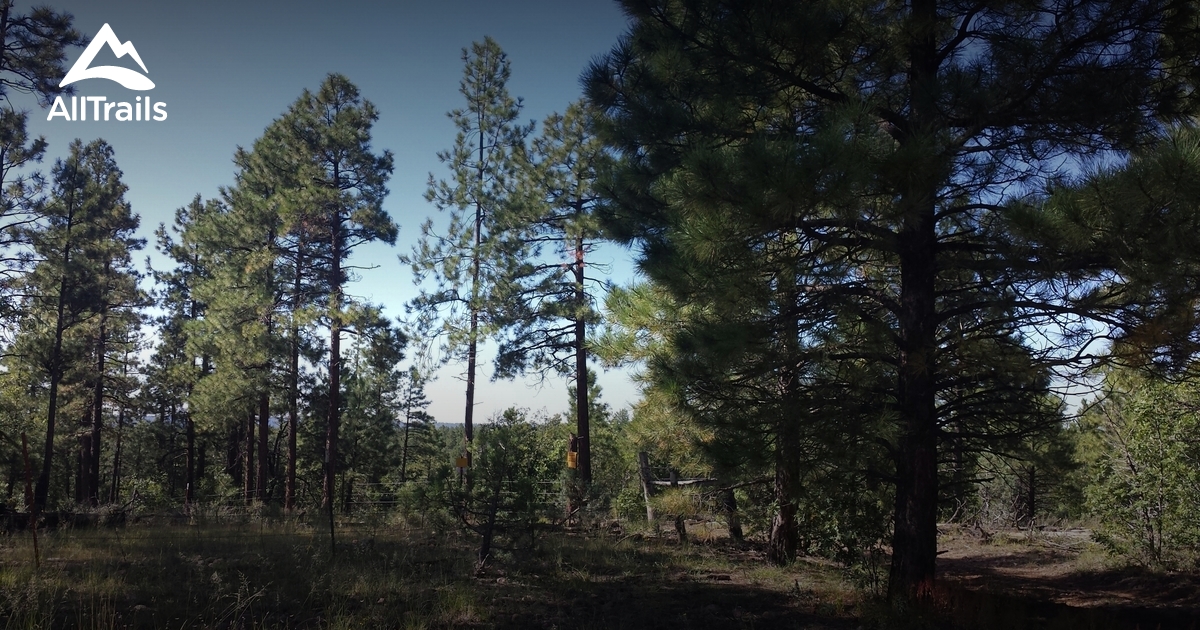 Best Hikes and Trails in Clay Springs AllTrails