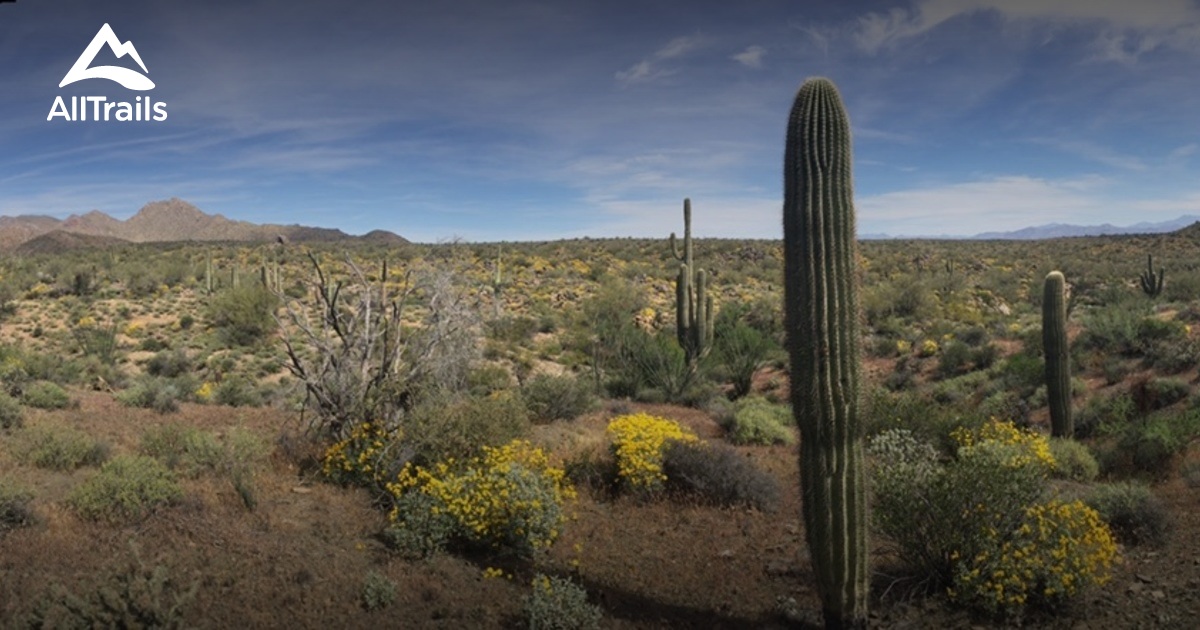 Best Trails near Fountain Hills, Arizona | AllTrails.com